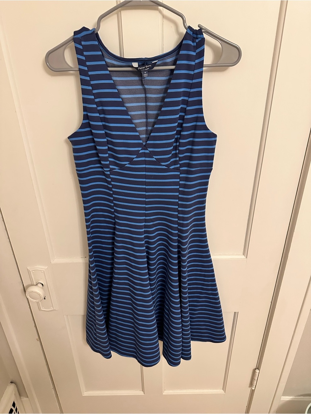 Peter Som Blue Striped Sleeveless V-Neck Fit & Flare Dress Size 6